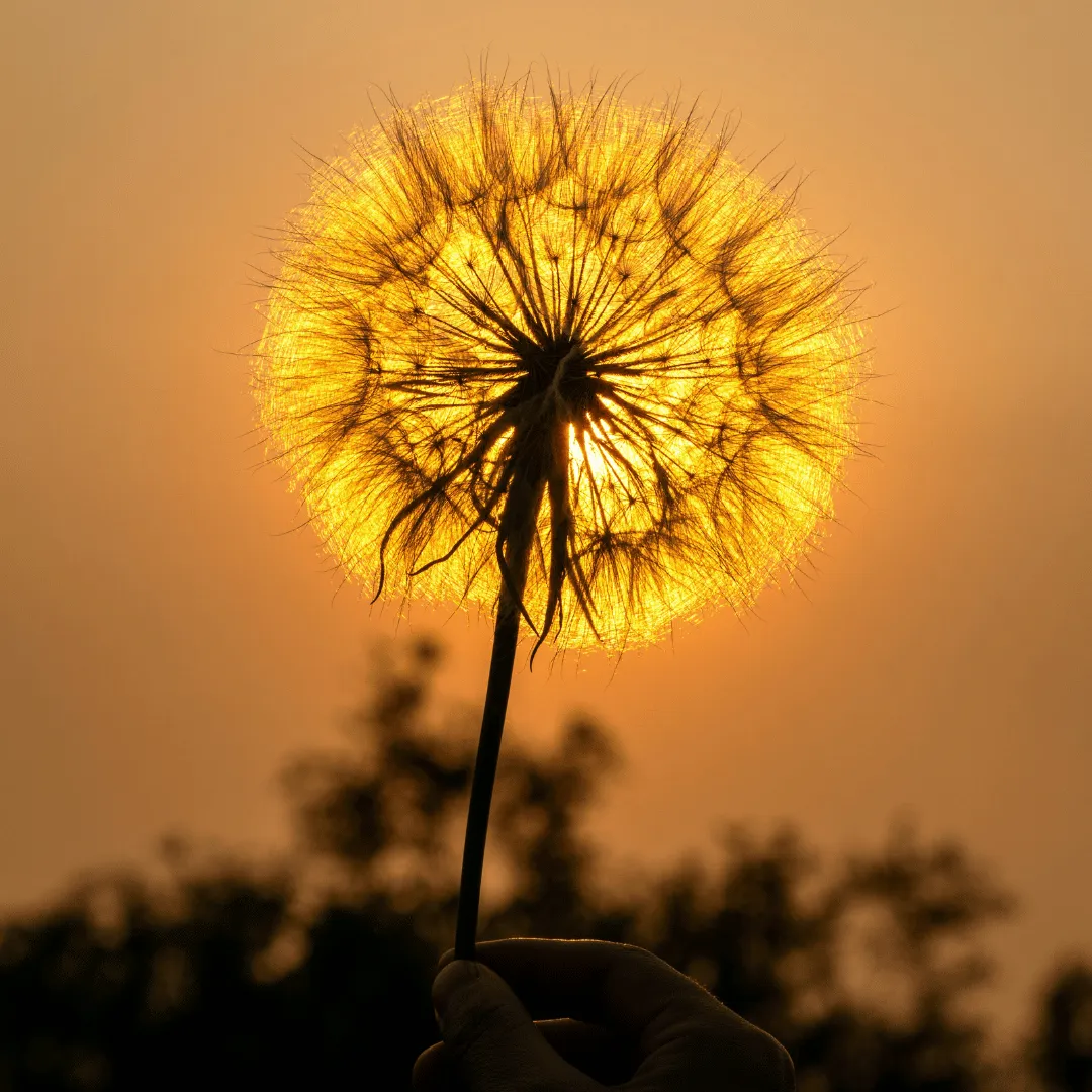 life coaching Ottawa IL, spiritual counseling Ottawa IL, energy healing Ottawa IL, intuitive readings Ottawa IL, tarot card reading Ottawa IL, meditation coaching Ottawa IL, nationwide life coaching