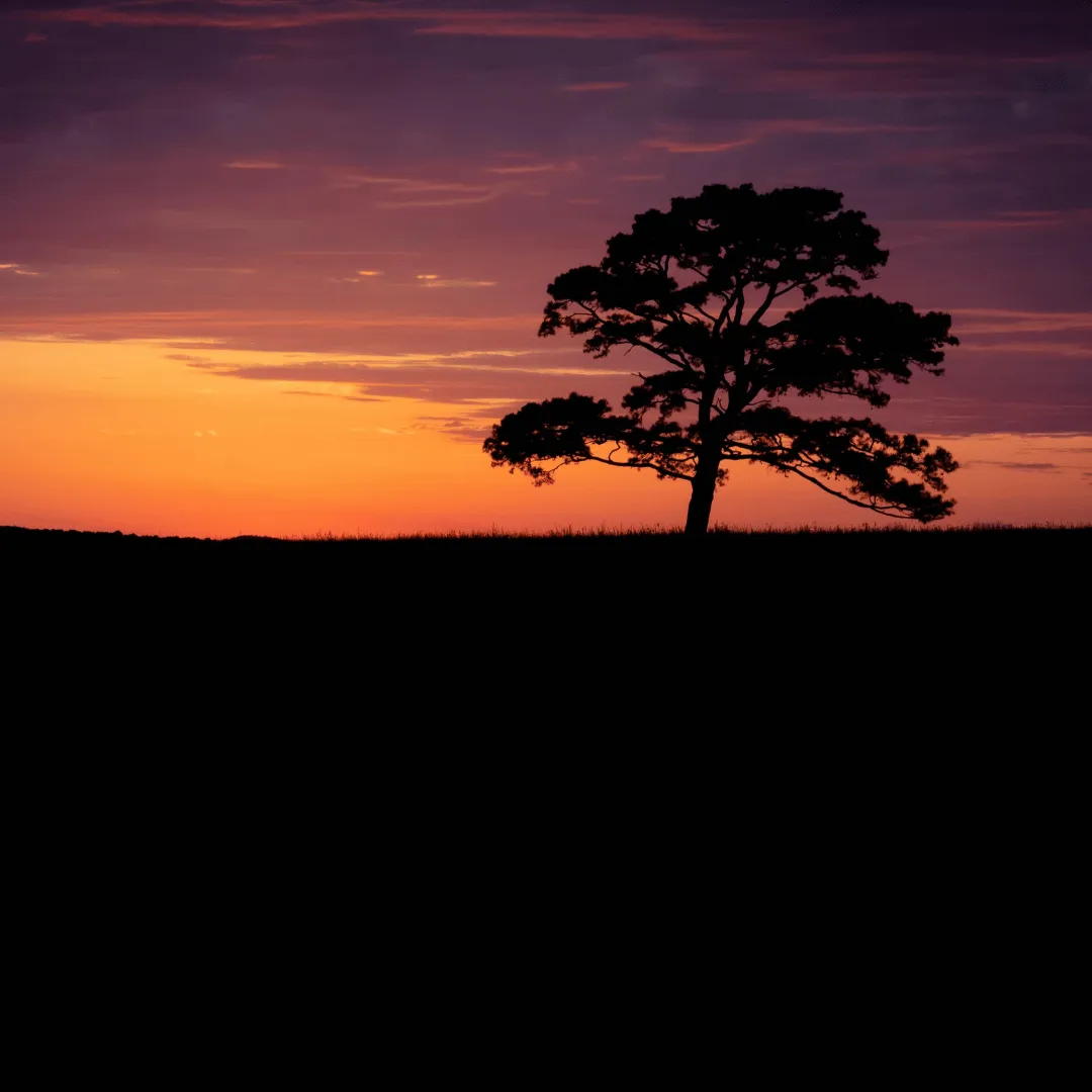 life coaching Ottawa IL, spiritual counseling Ottawa IL, energy healing Ottawa IL, intuitive readings Ottawa IL, tarot card reading Ottawa IL, meditation coaching Ottawa IL, nationwide life coaching