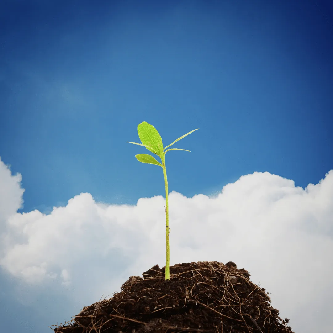 life coaching Ottawa IL, spiritual counseling Ottawa IL, energy healing Ottawa IL, intuitive readings Ottawa IL, tarot card reading Ottawa IL, meditation coaching Ottawa IL, nationwide life coaching