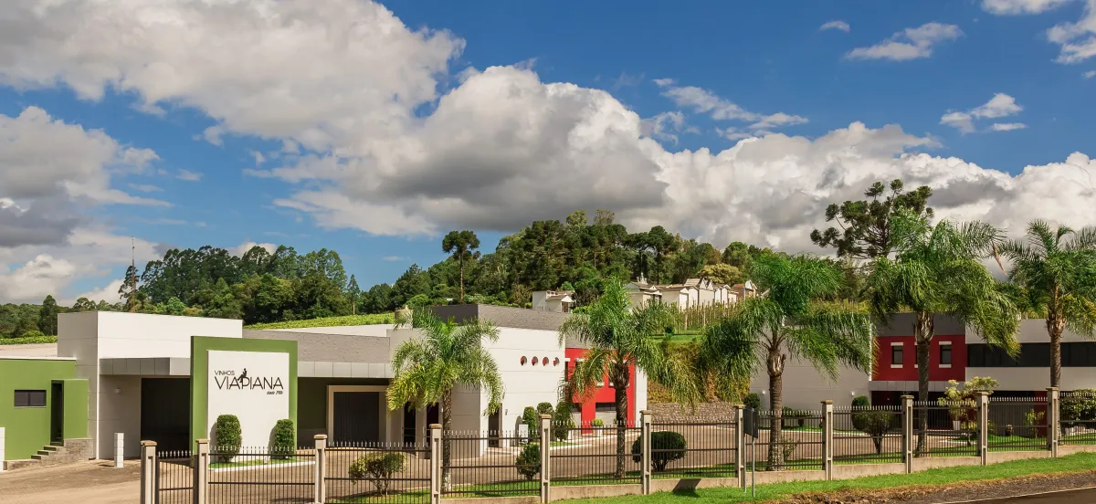 Vineyard Landscape Black and White