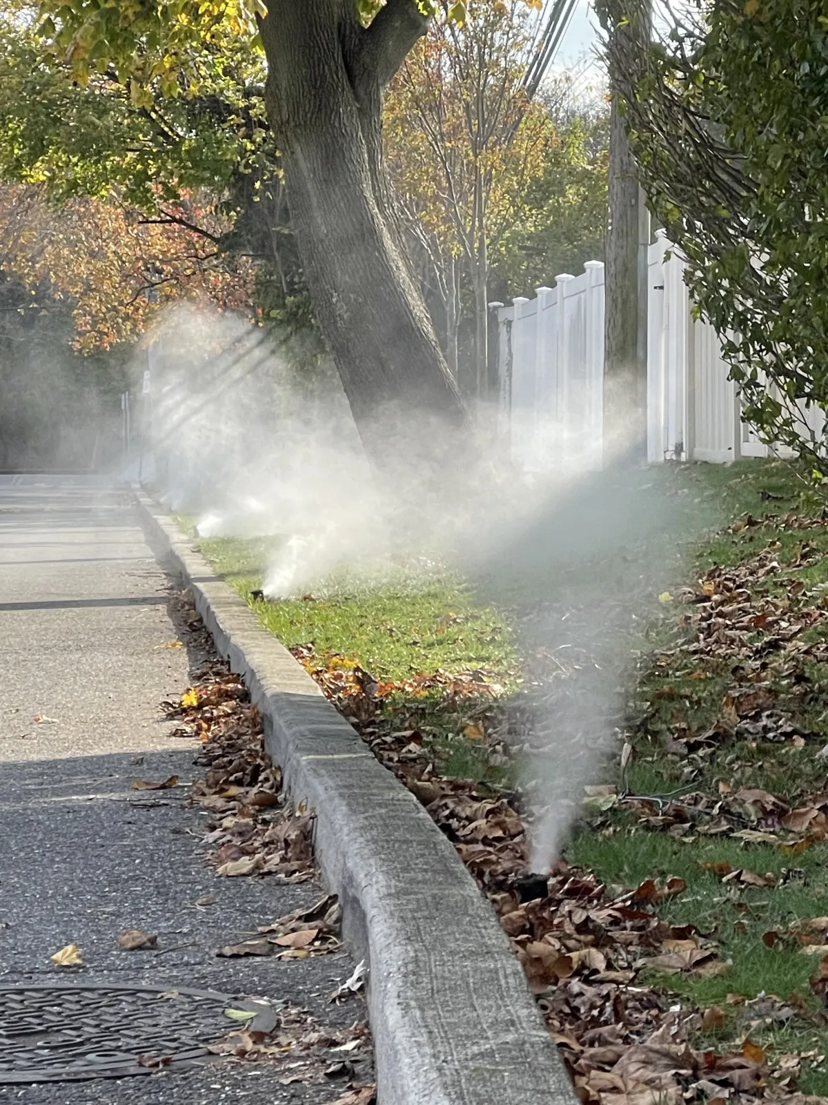 Rain Right Sprinkler Winterization Nassau County NY