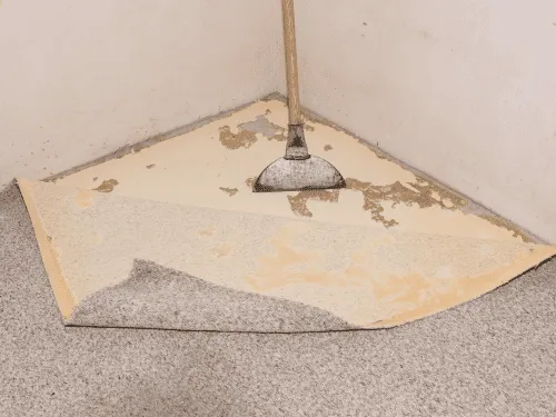 Furniture Removal Tallahassee, FL