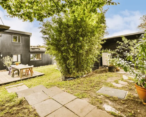 Yard Waste & Debris Removal Tallahassee, FL