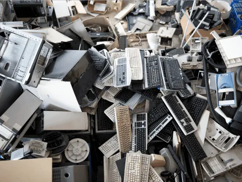 Yard Waste & Debris Removal Tallahassee, FL