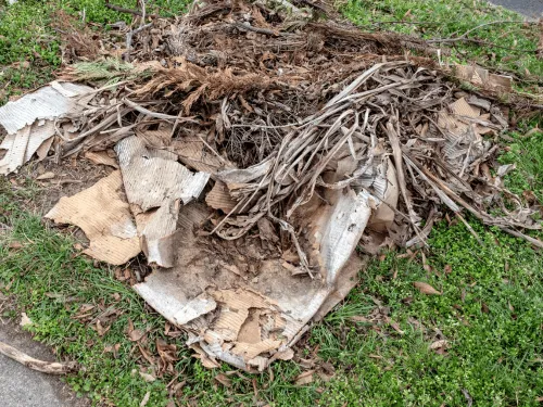 Mattress Removal Tallahassee, FL