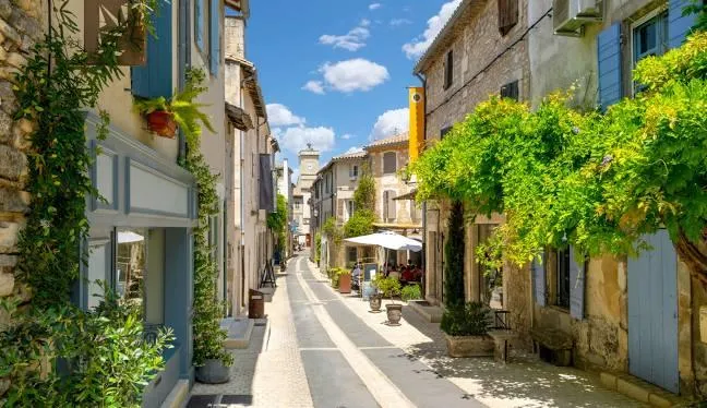 Thierry PARIAN - médecine traditionnelle chinoise - Saint-rémy-de-provence