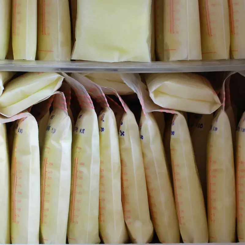 Bags of labeled breast milk are neatly organized on shelves for donation and distribution at Zora's Cradle Milk Depot.