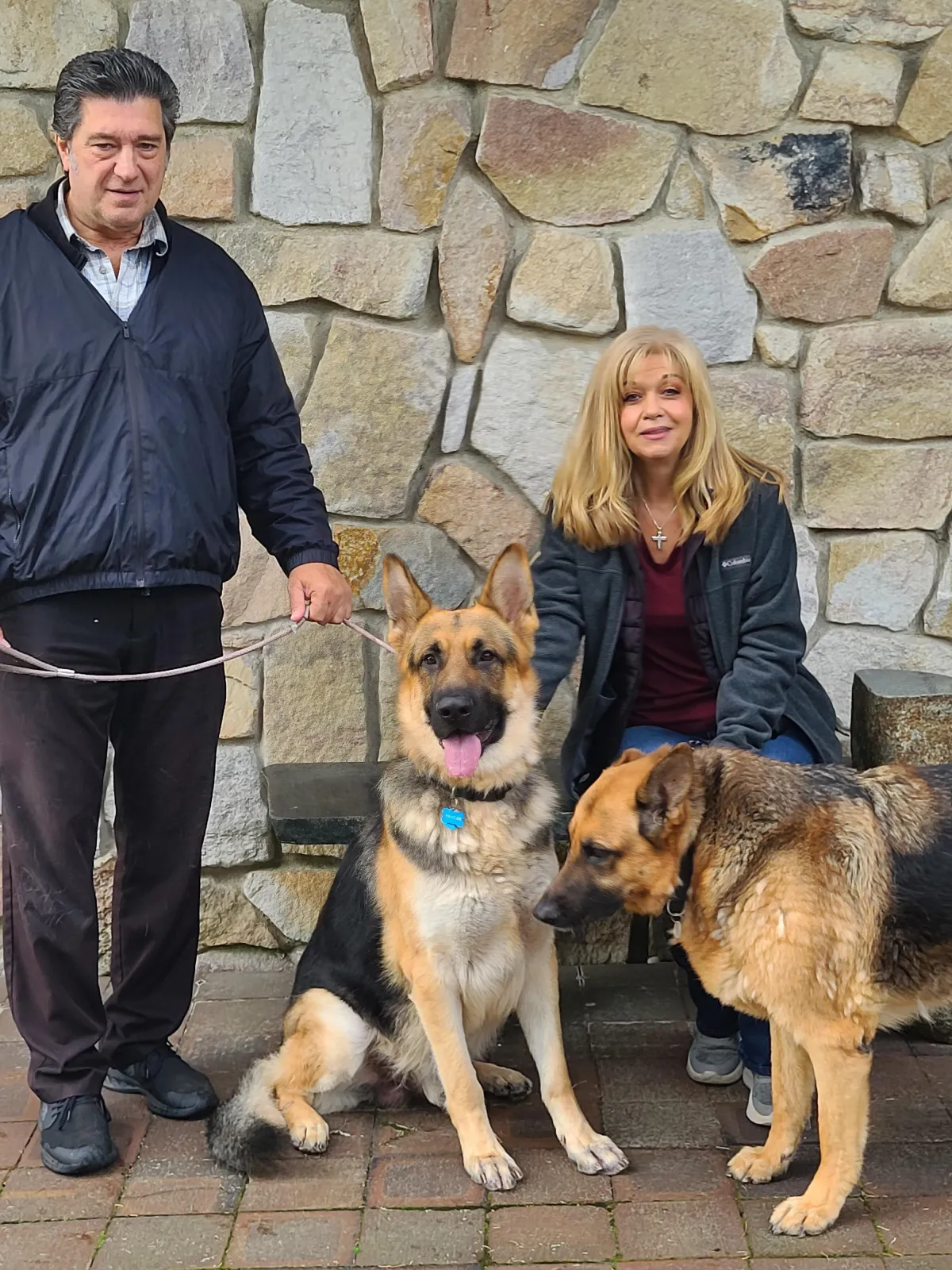 Dog Training In Nassau & Suffolk County