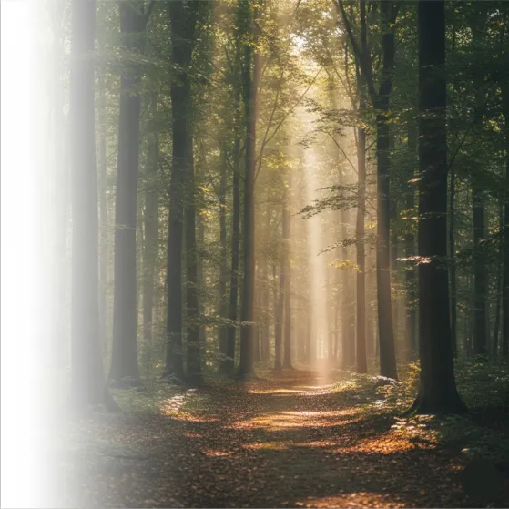 Clinician providing inclusive, trauma-informed care in a welcoming clinic setting.