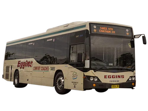 Eggins Comfort Coaches - Taree