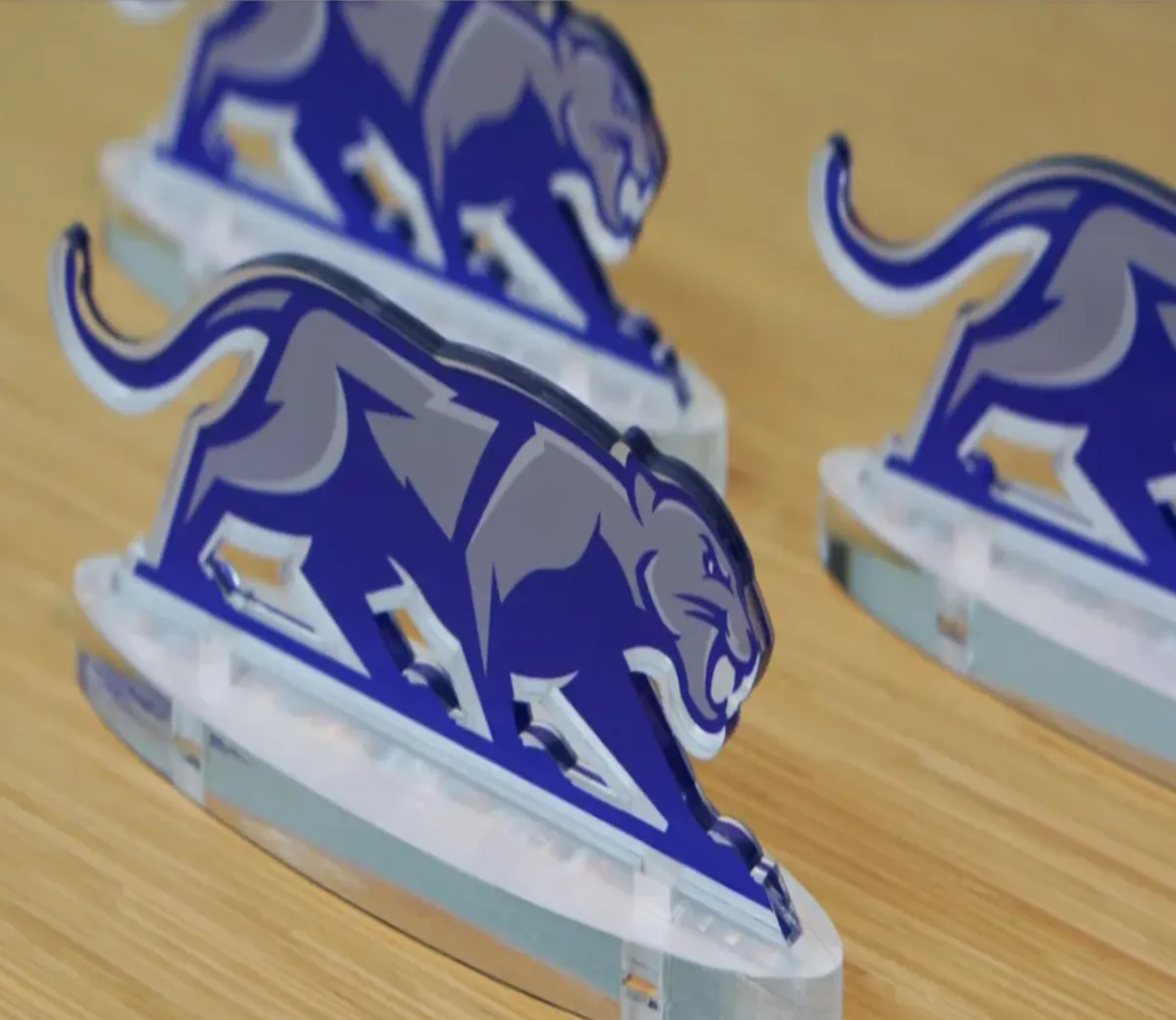 Laser Engraving & Cut Logos