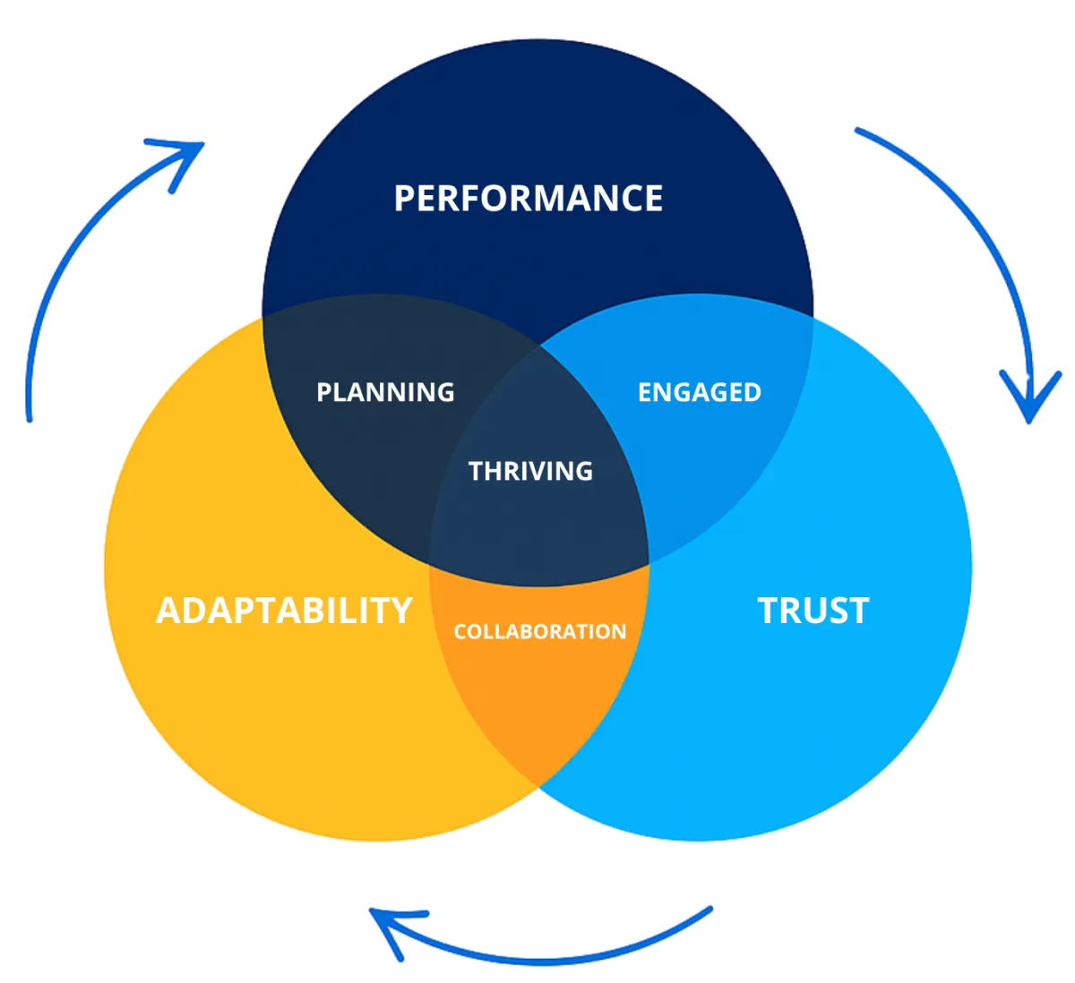 After Spotlight Peak Performance
