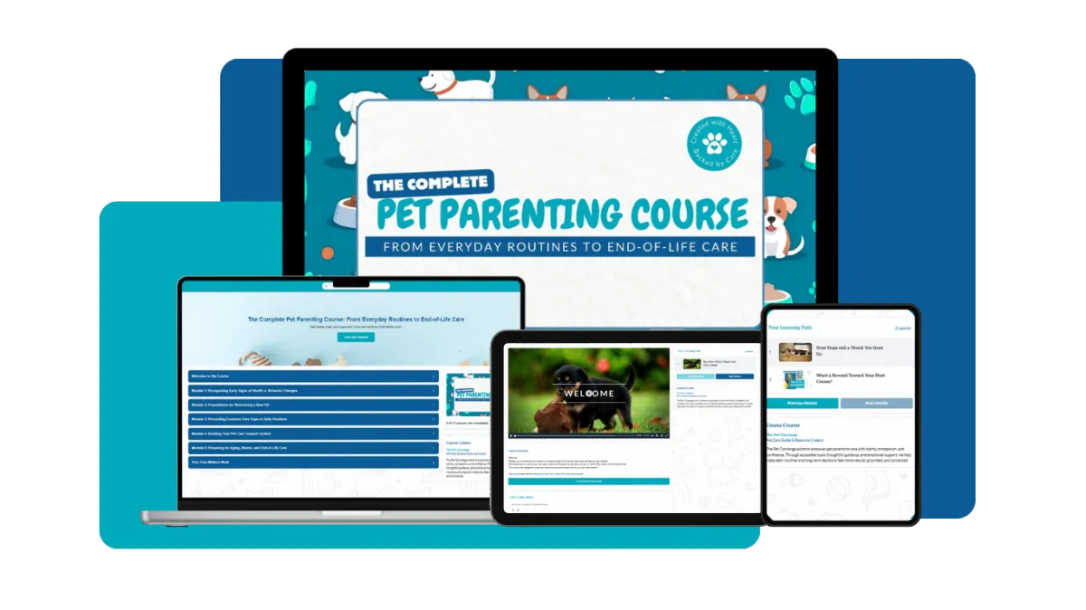 Course Mockup