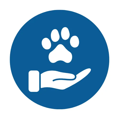 Preparedness for Vet Visits & Insurance