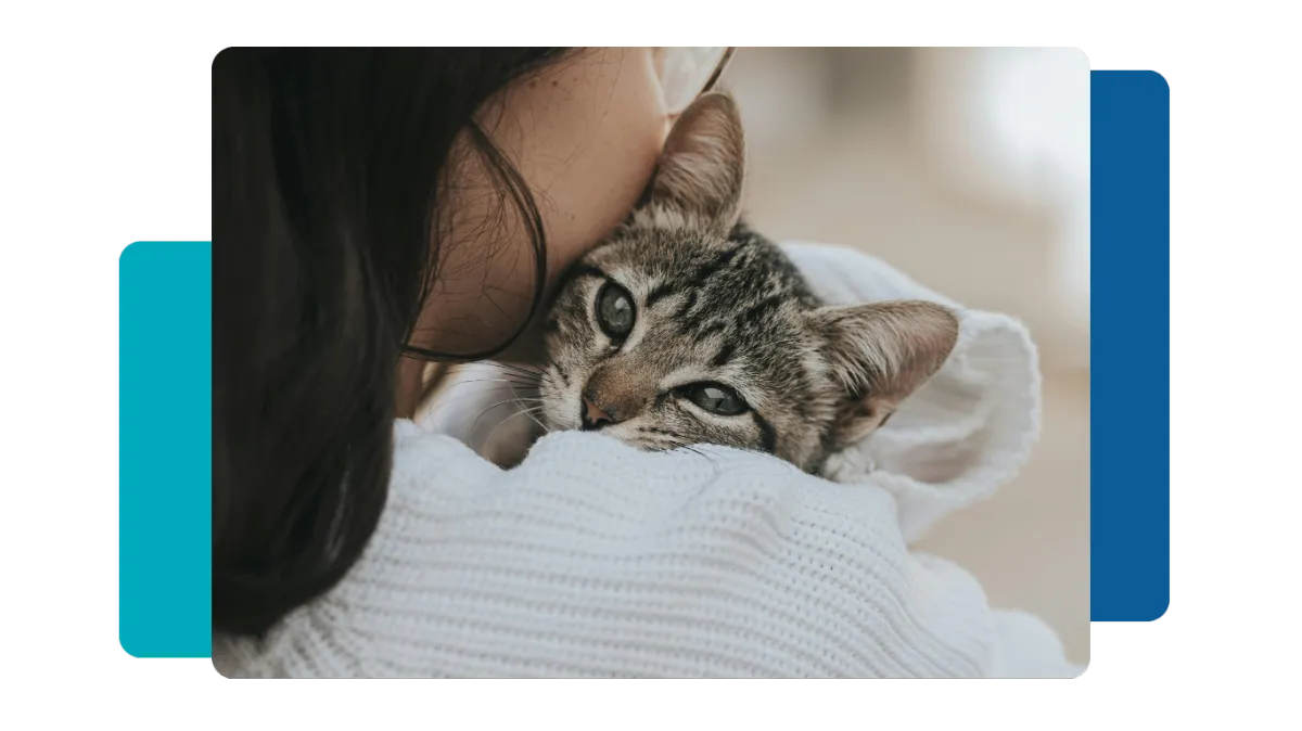 Ever Feel Like You’re Just Guessing With Pet Care?