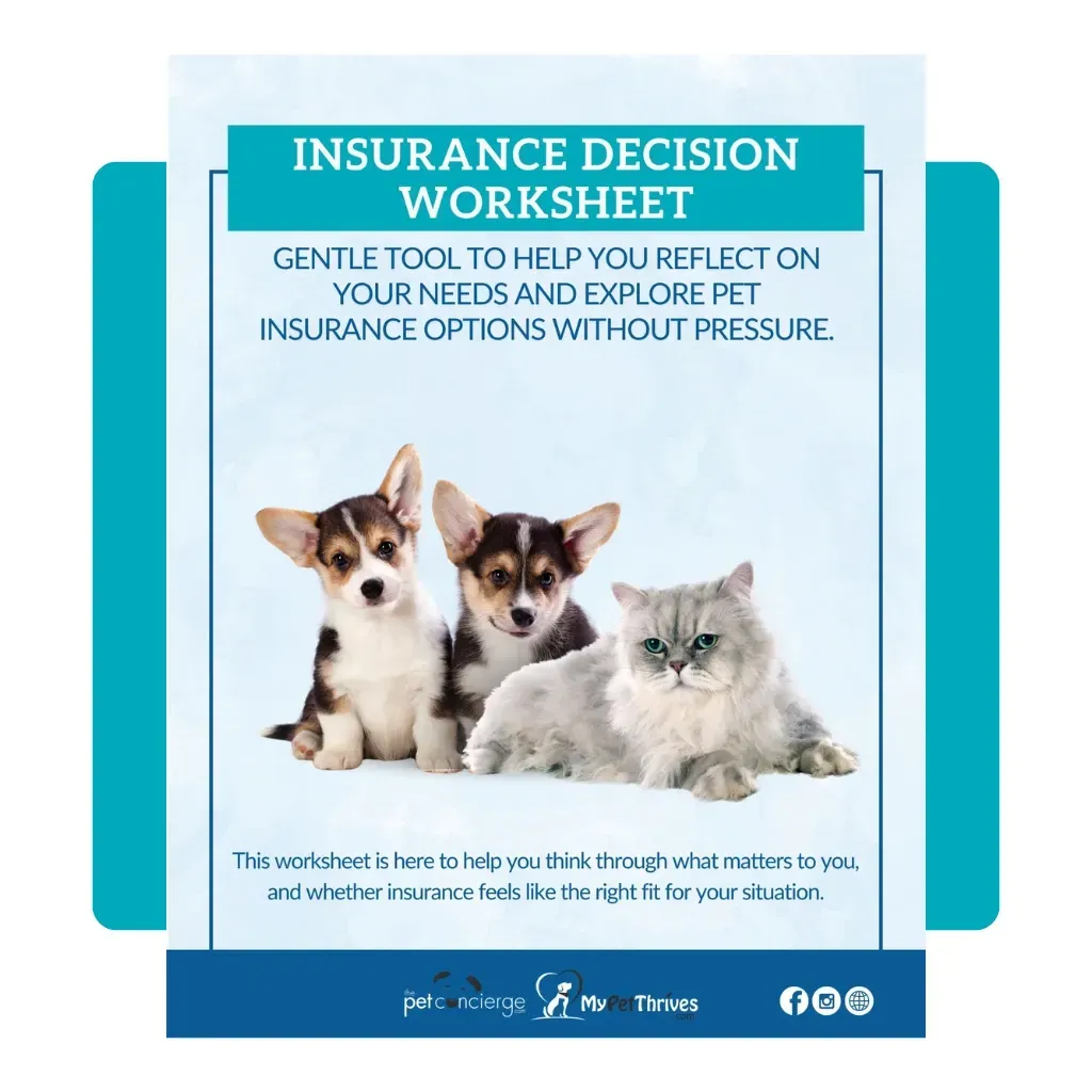 Insurance Decision Worksheet