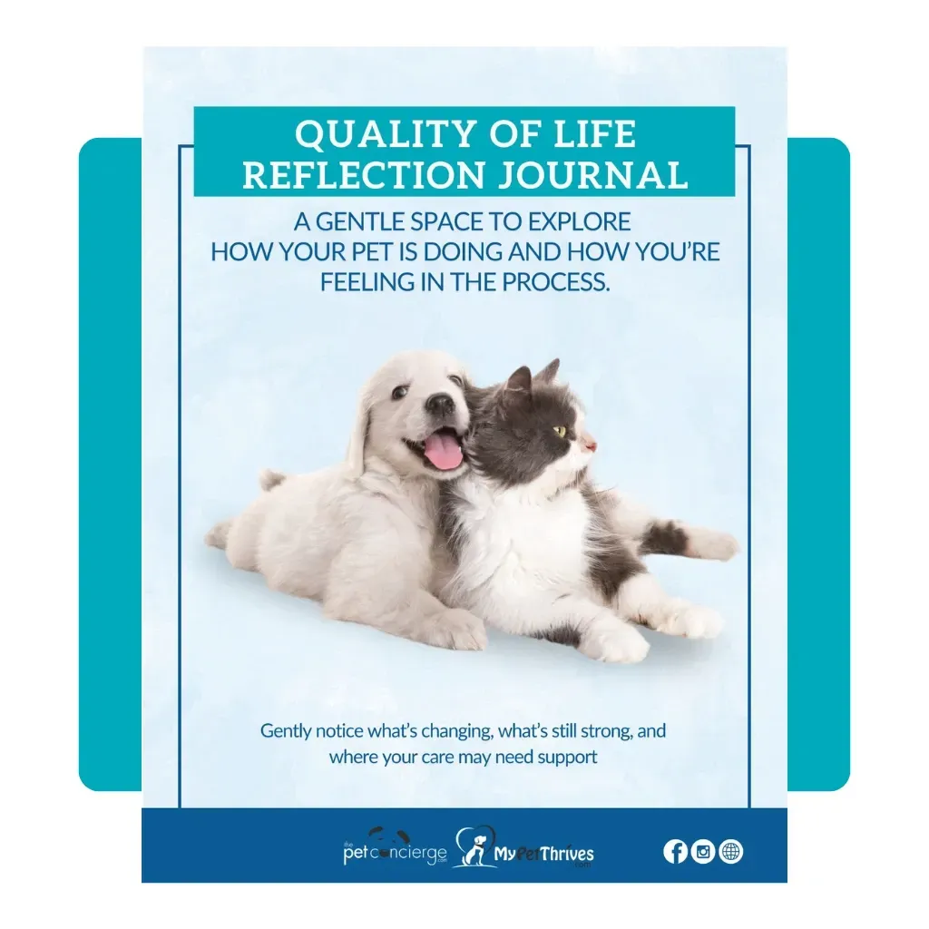 Quality of Life Reflection Journal
