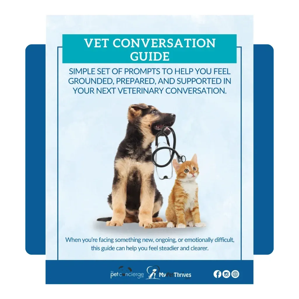 Vet Conversation Guide