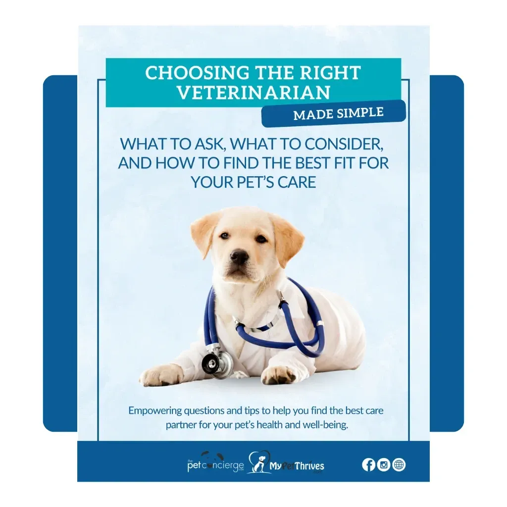 Choosing The Right Vet