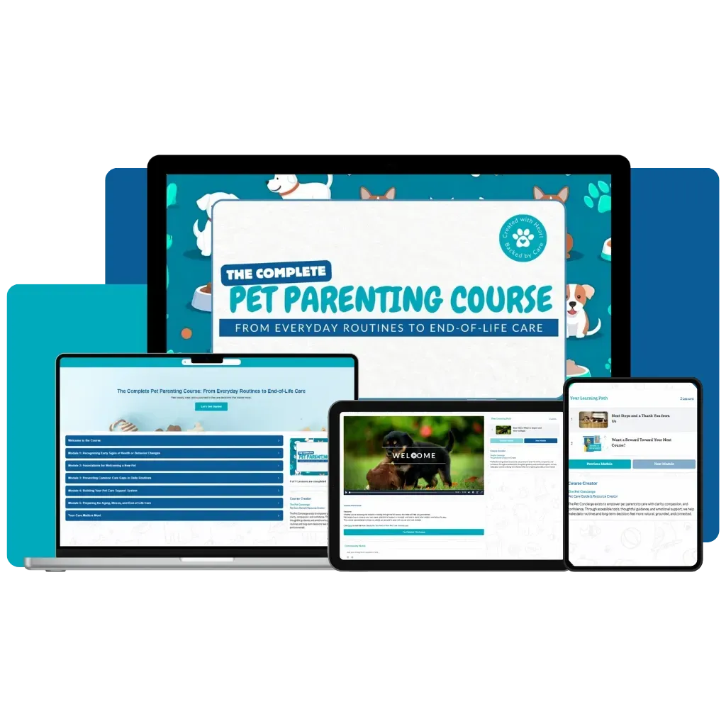 Course Mockup