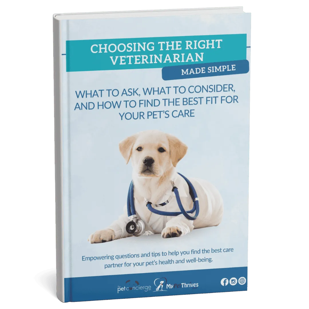 Choosing the Right Veterinarian Made Simple