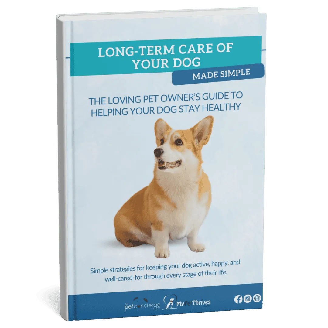 Long-Term Care of Your Dog Made Simple