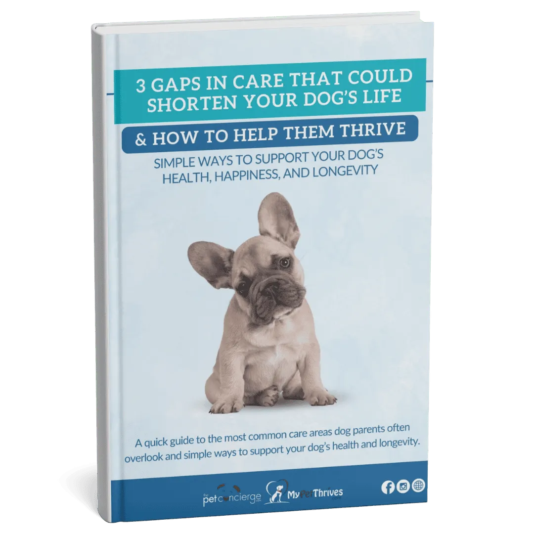 3 Gaps in Care That Could Shorten Your Dog’s Life