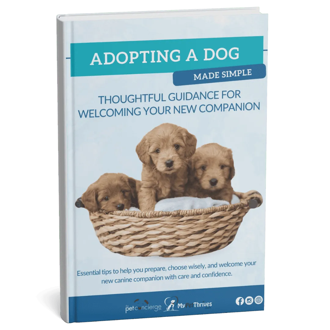 Adopting a Dog Made Simple