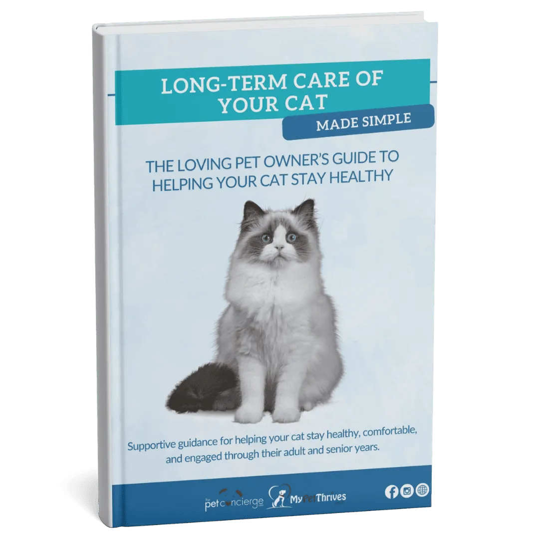 Long-Term Care of Your Cat Made Simple