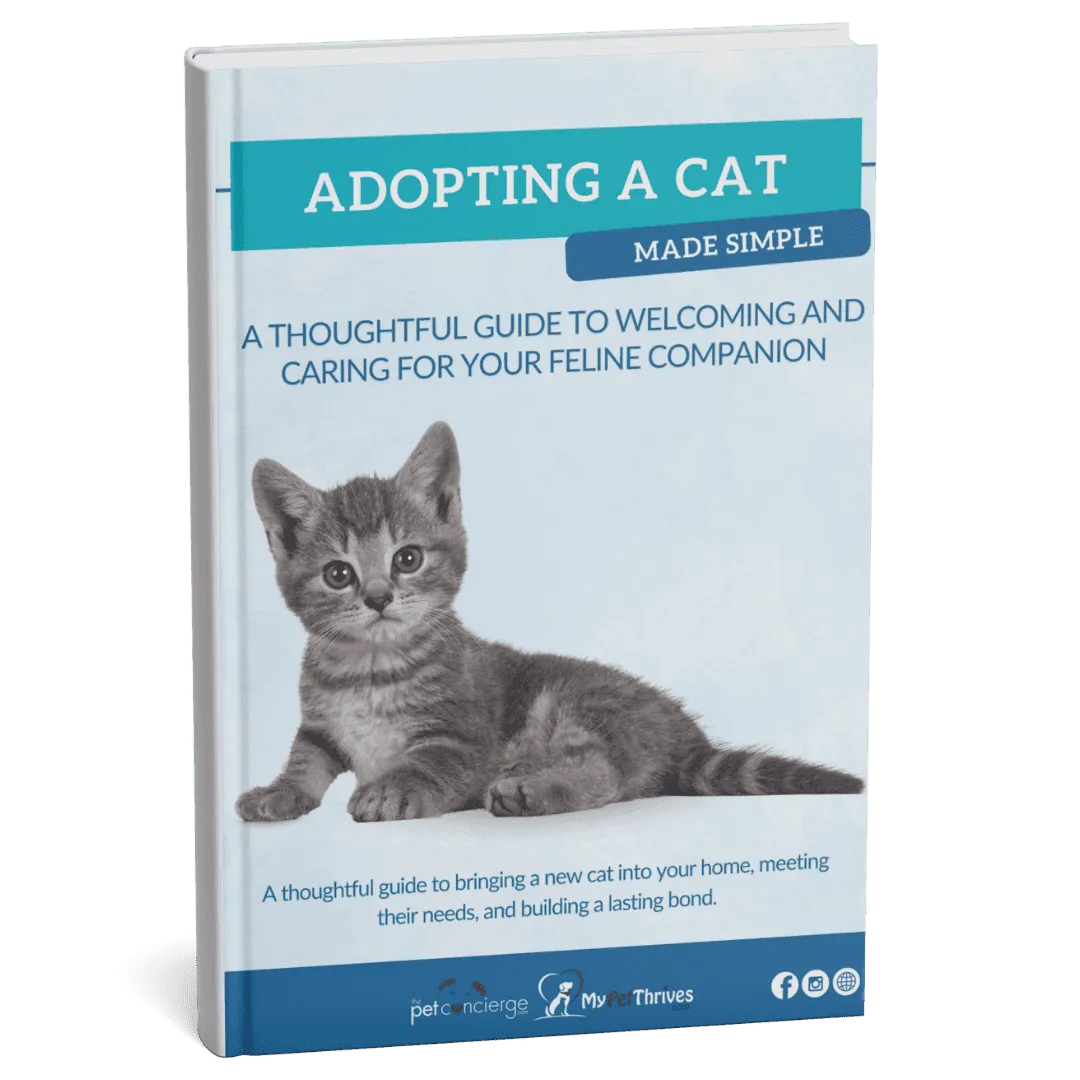 Adopting a Cat Made Simple