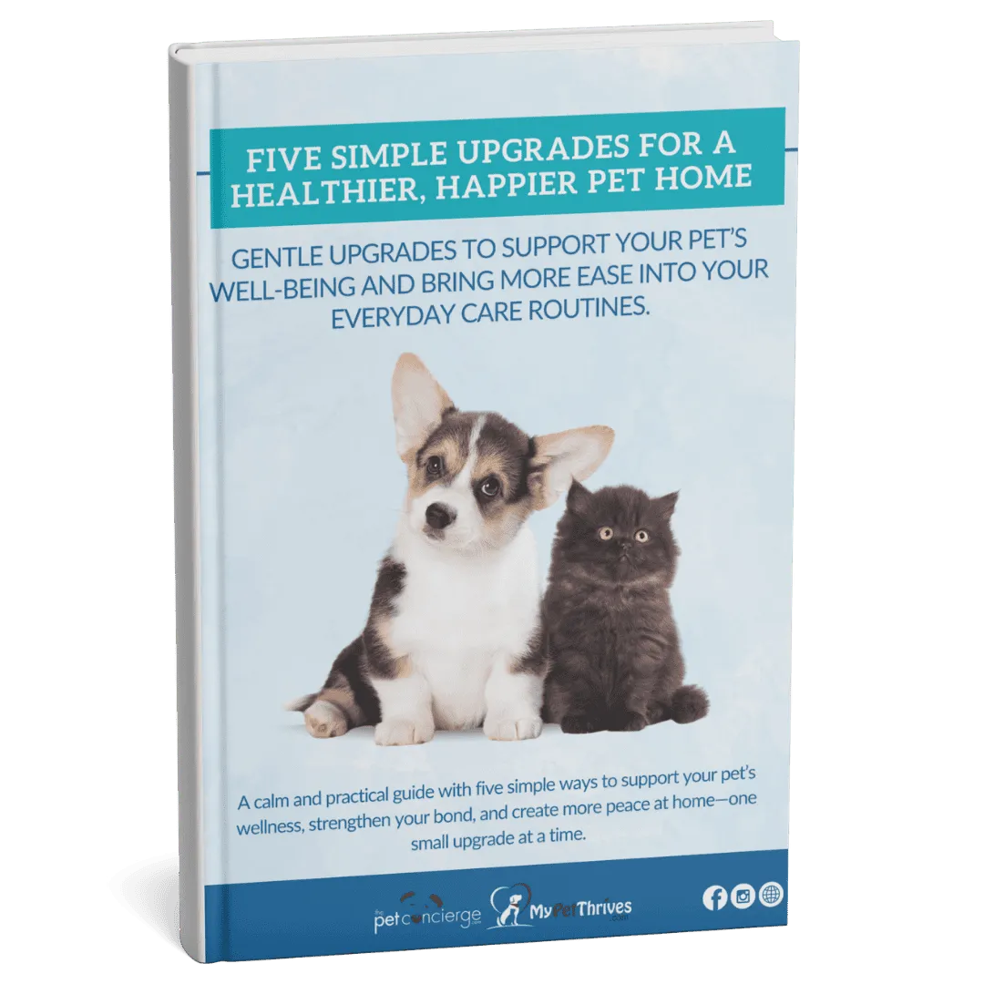 5 Simple Upgrades for a Healthier, Happier Pet Home