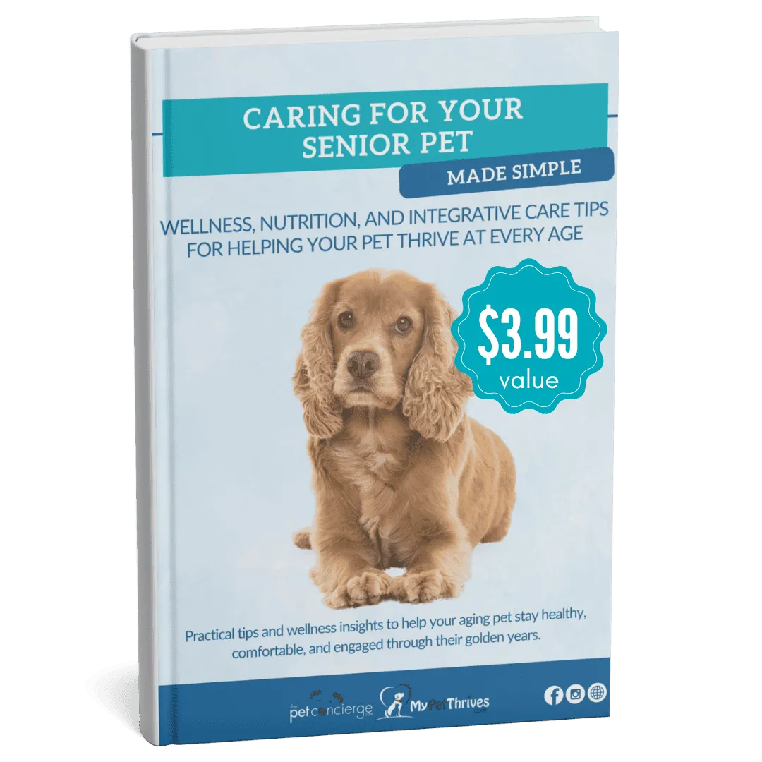 Caring for Your Senior Pet Made Simple