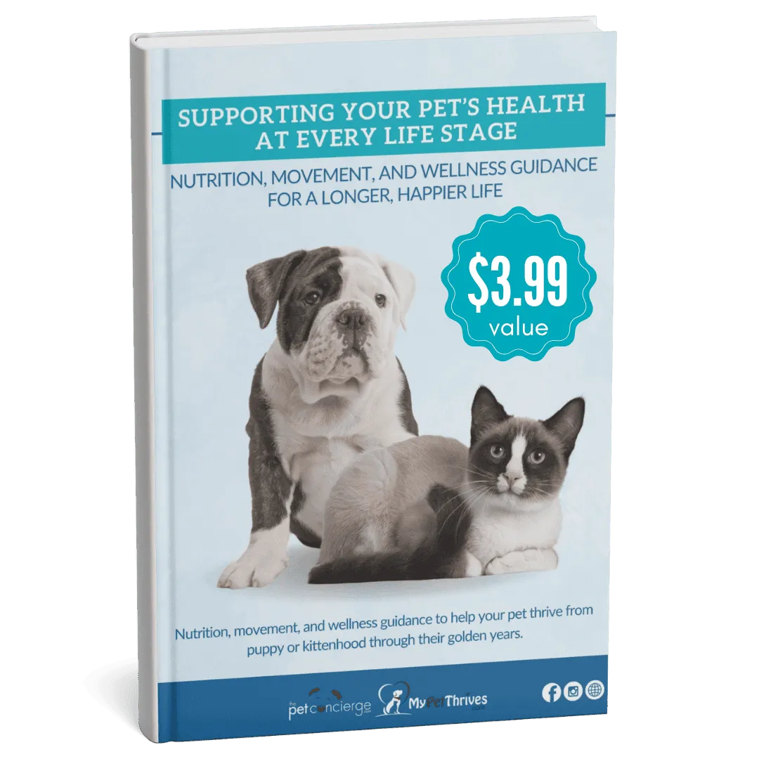 Supporting Your Pet’s Health at Every Life Stage