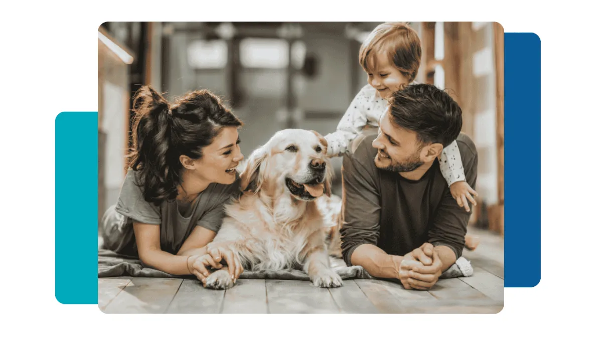 Where Heart Meets Practicality in Everyday Pet Care