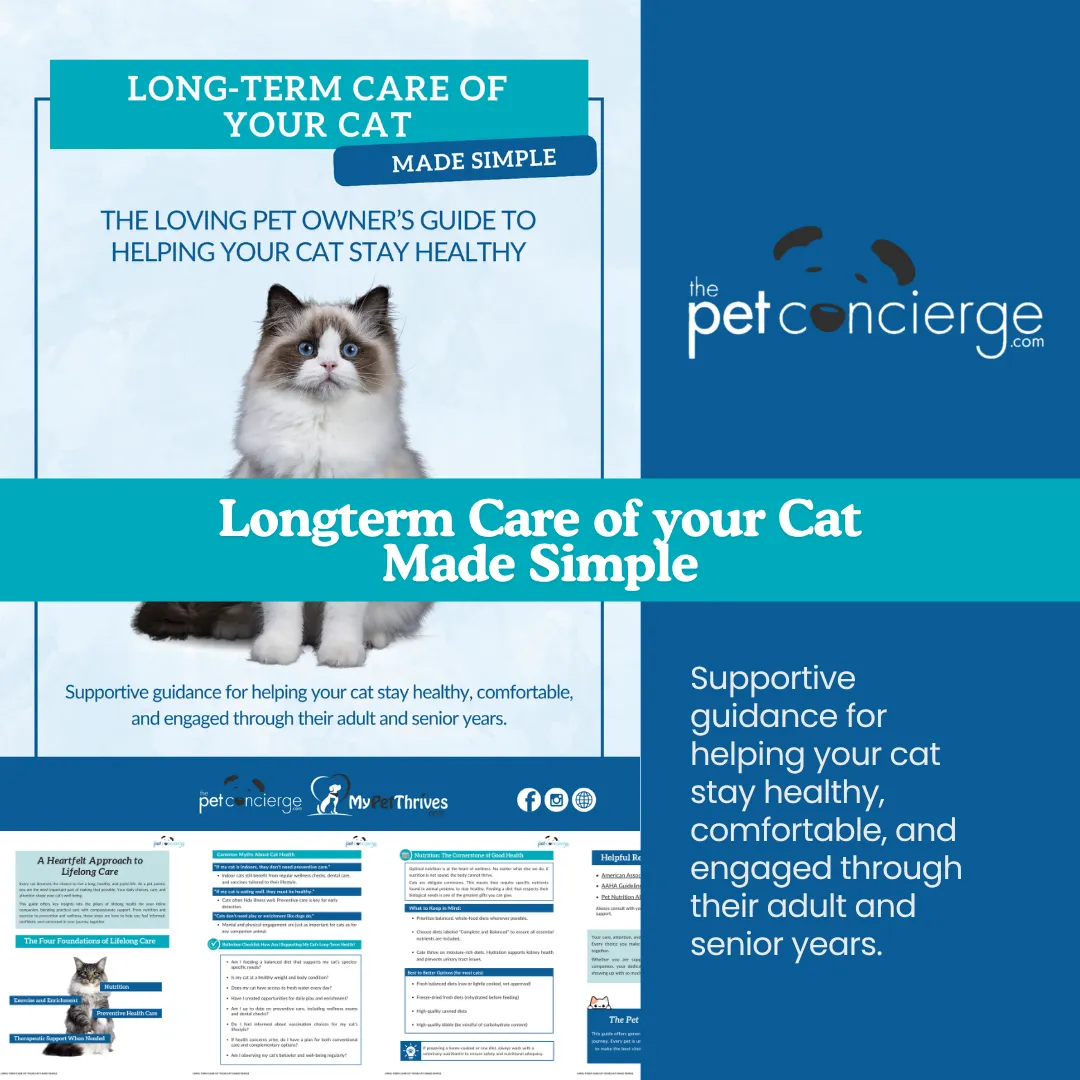 Long-Term Care of Your Cat Made Simple