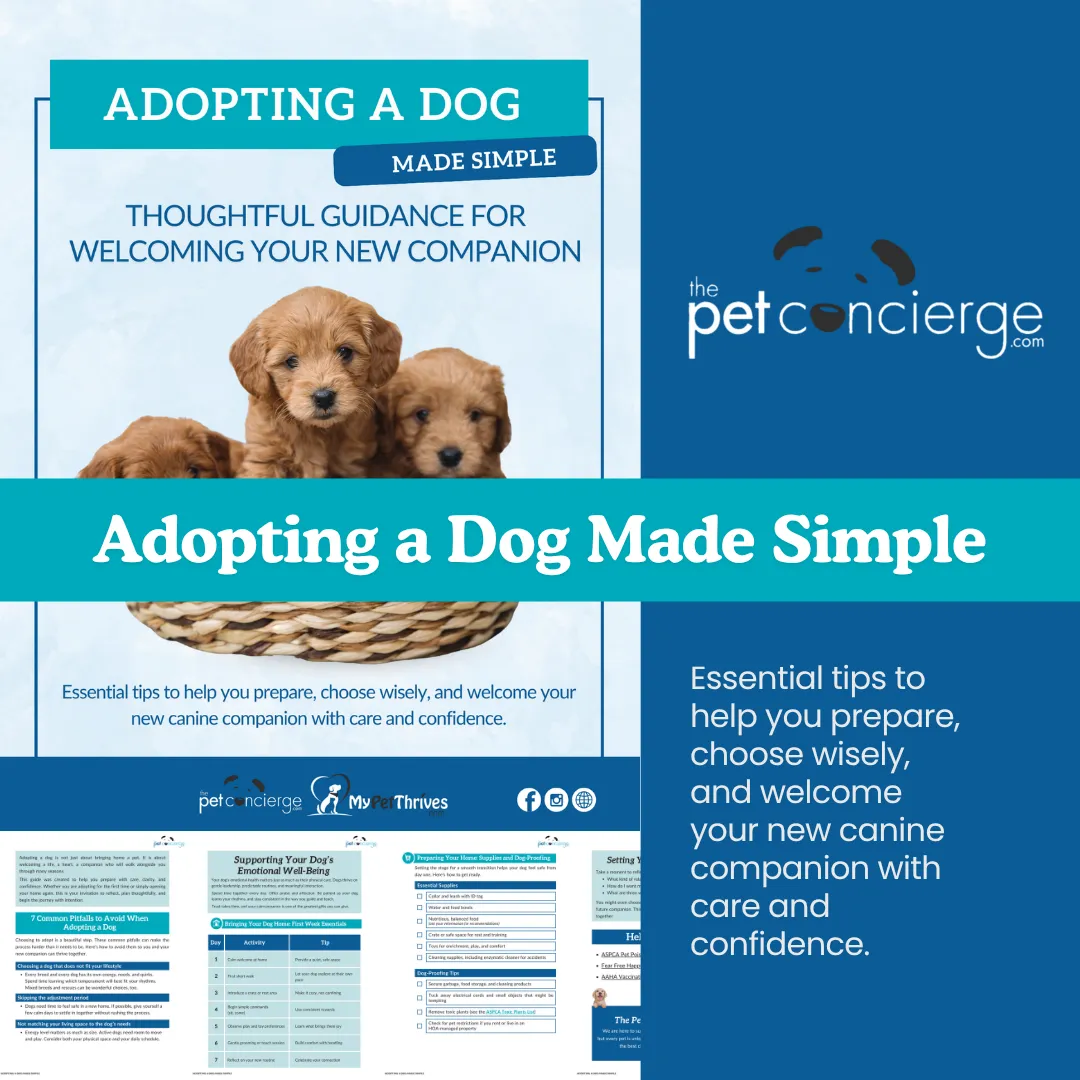 Adopting a Dog Made Simple