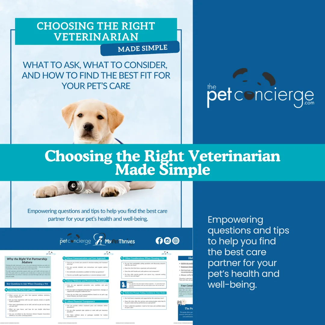 Choosing The Right Veterinarian Made Simple