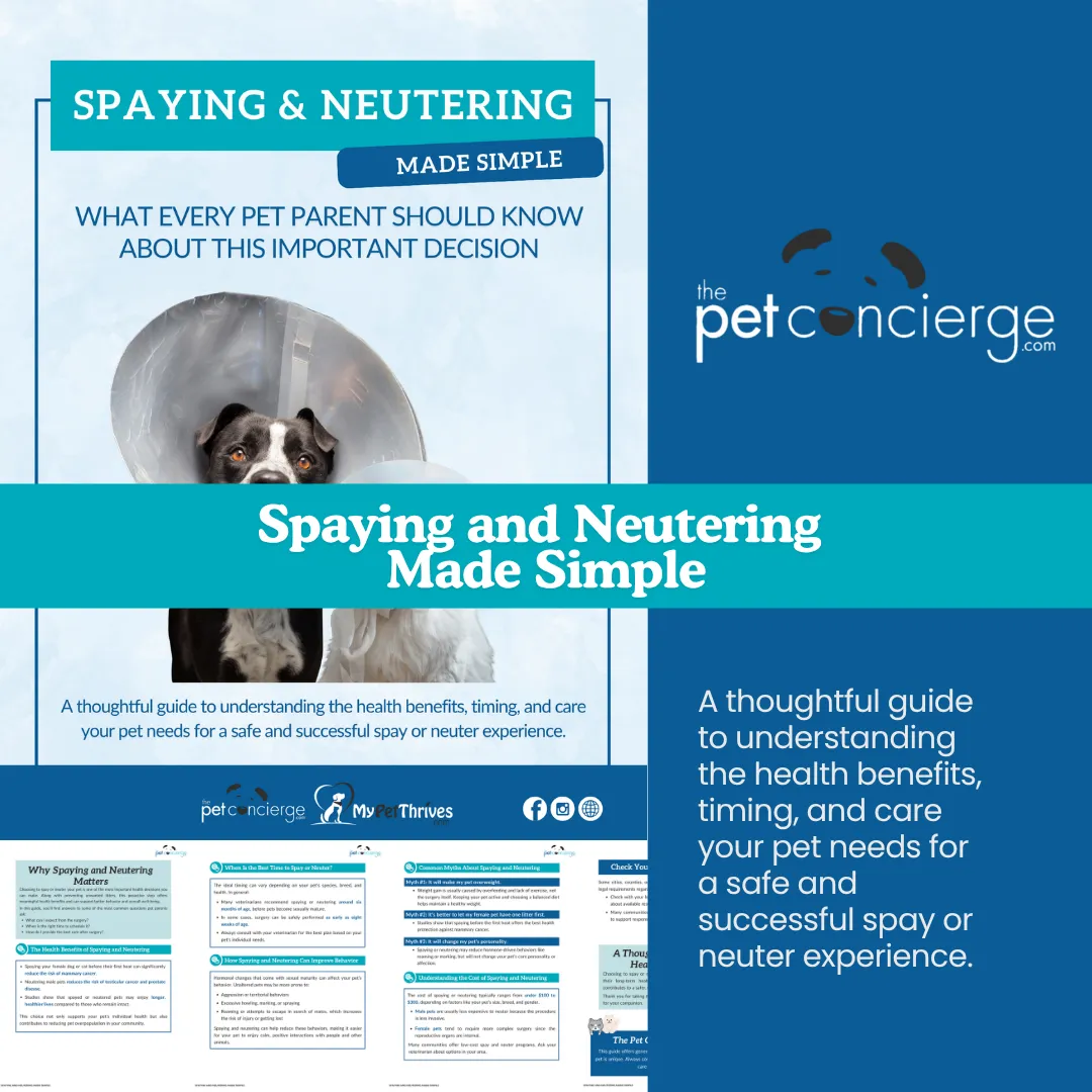 Spaying and Neutering Made Simple
