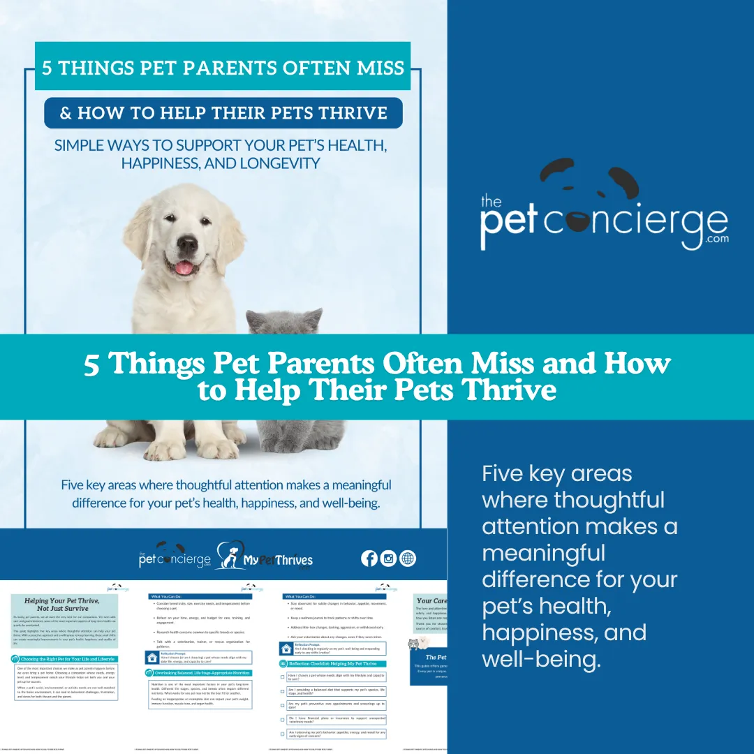 5 Things Pet Parents Often Miss and How to Help Their Pets Thrive