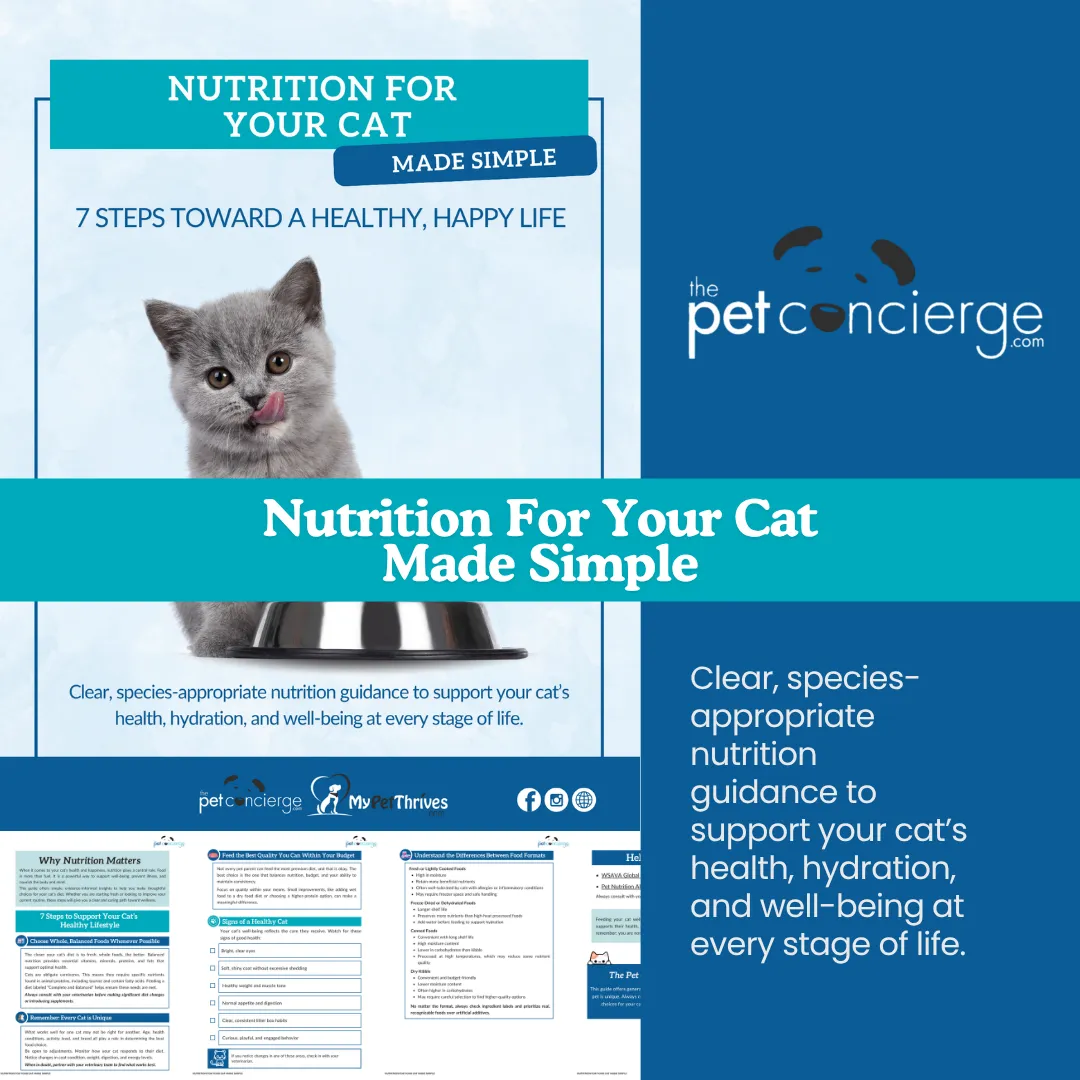 Nutrition For Your Cat Made Simple