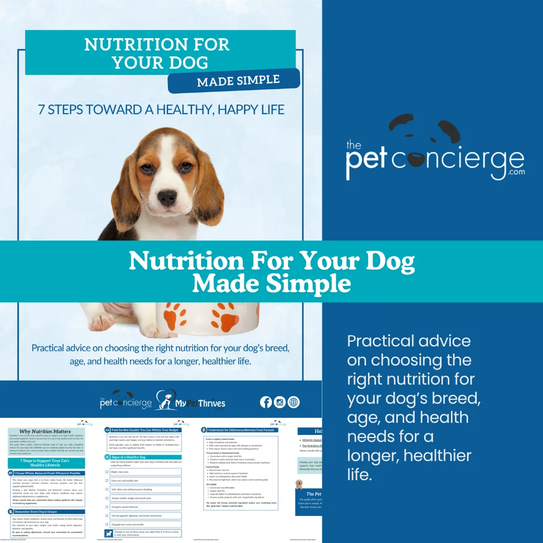 Nutrition for Your Dog Made Simple