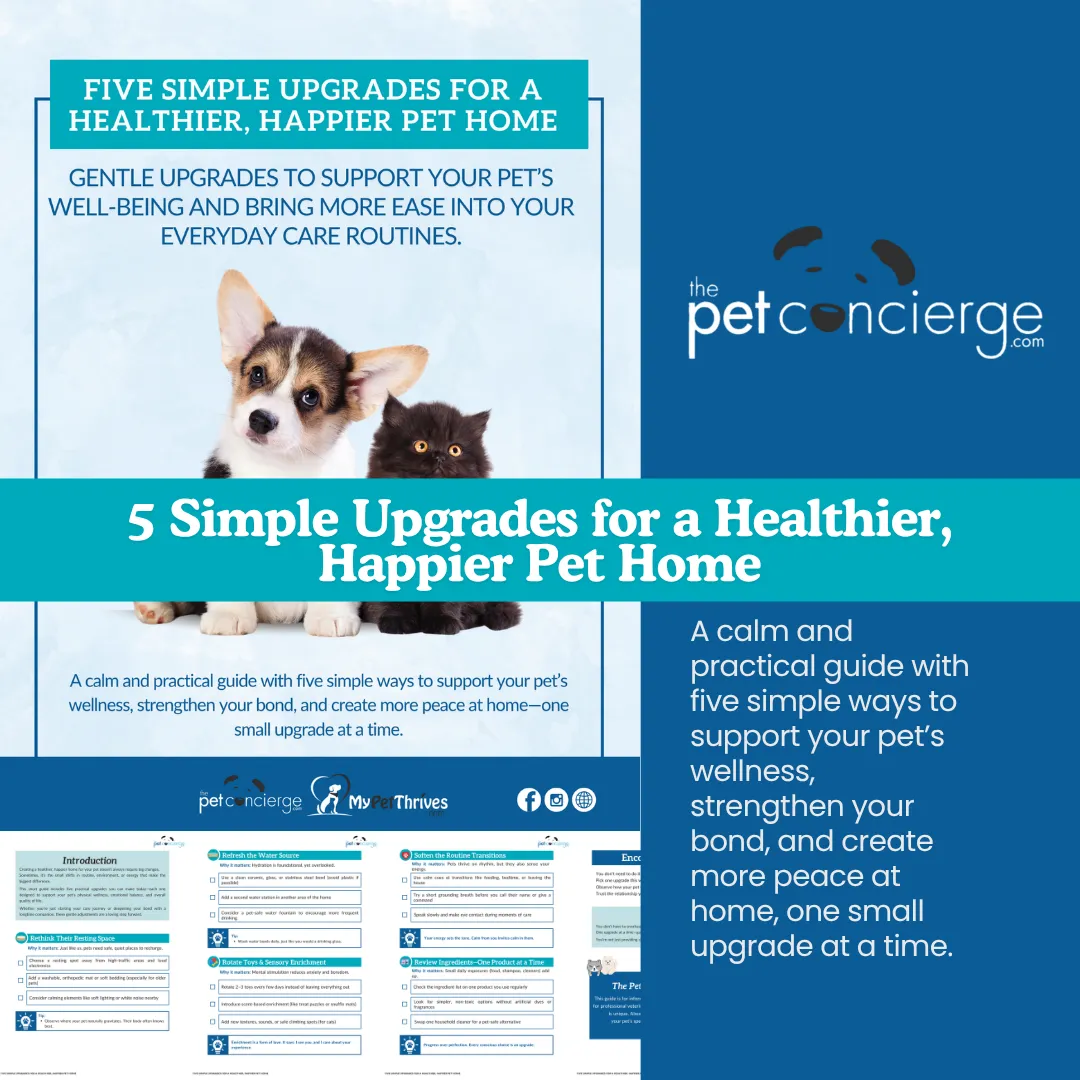 5 Simple Upgrades for a Healthier, Happier Pet Home