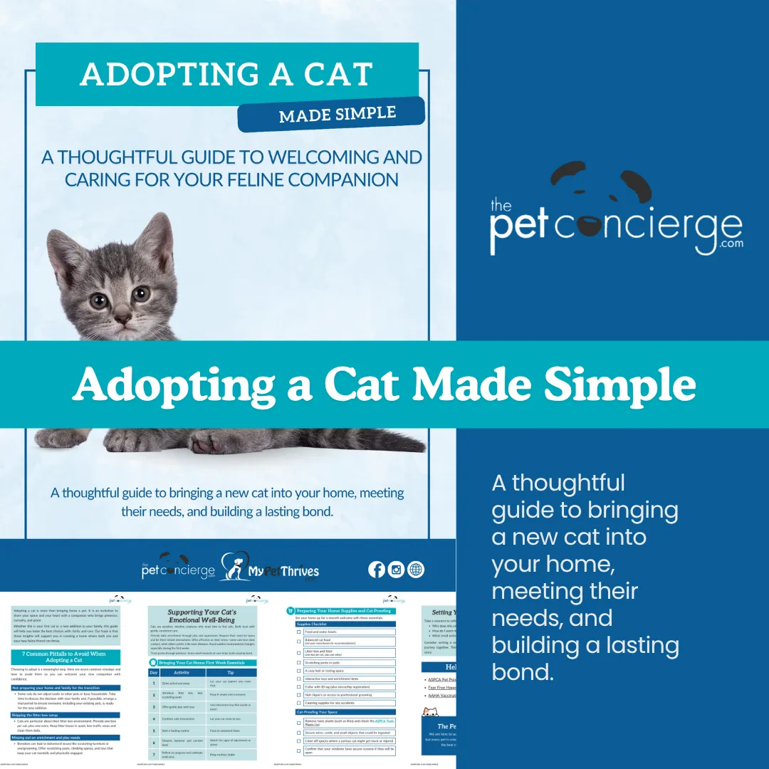 Adopting a Cat Made Simple