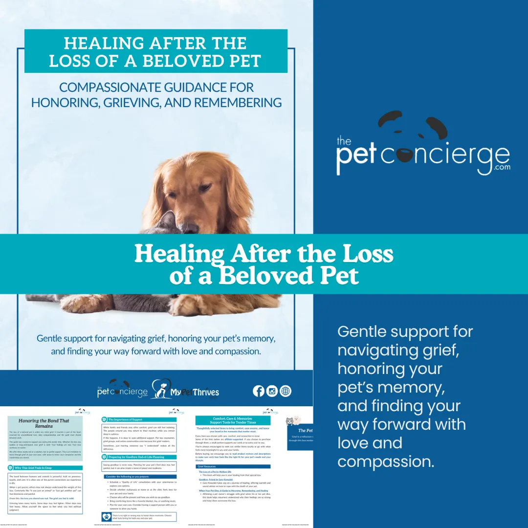 Healing After the Loss of a Beloved Pet
