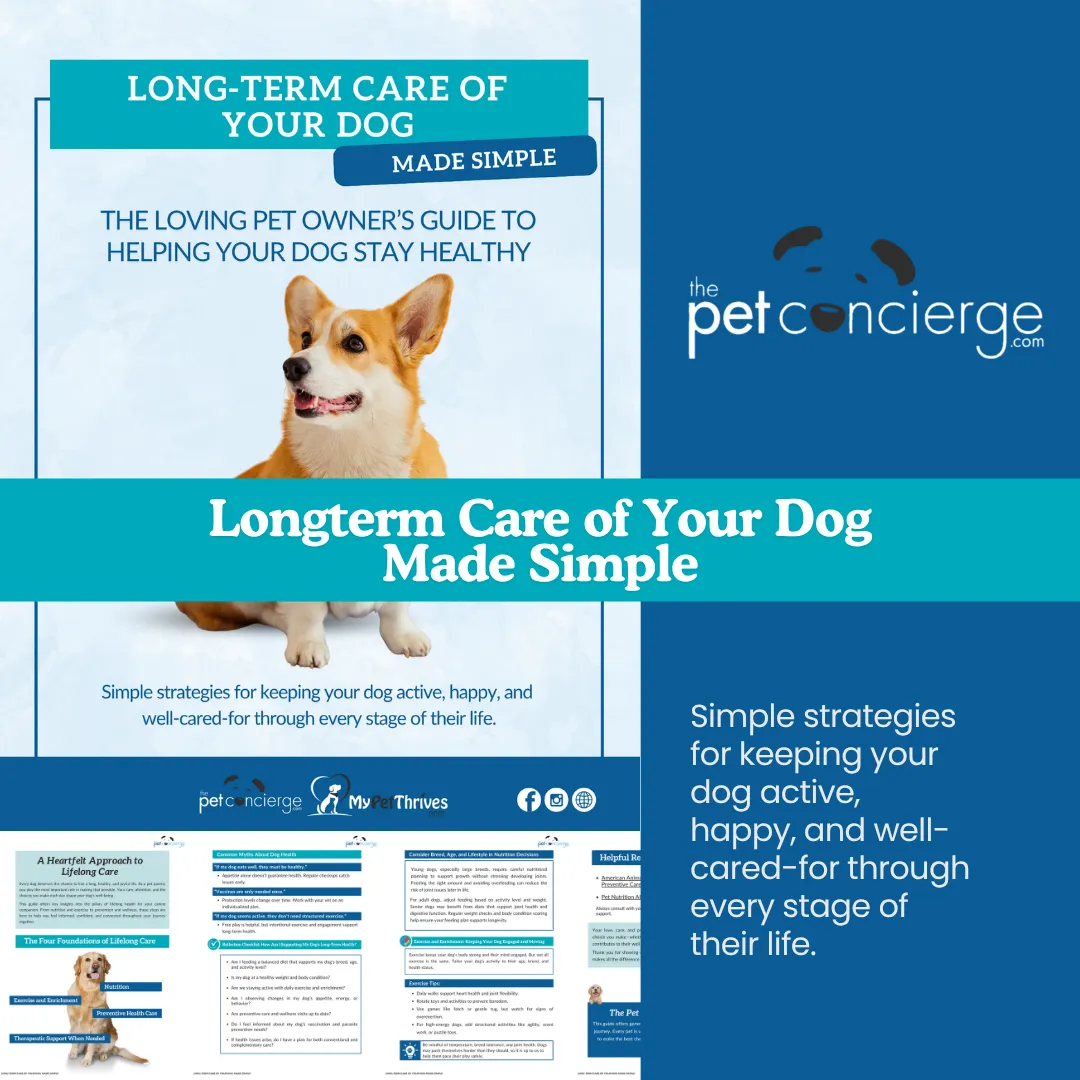 Long-Term Care of Your Dog Made Simple