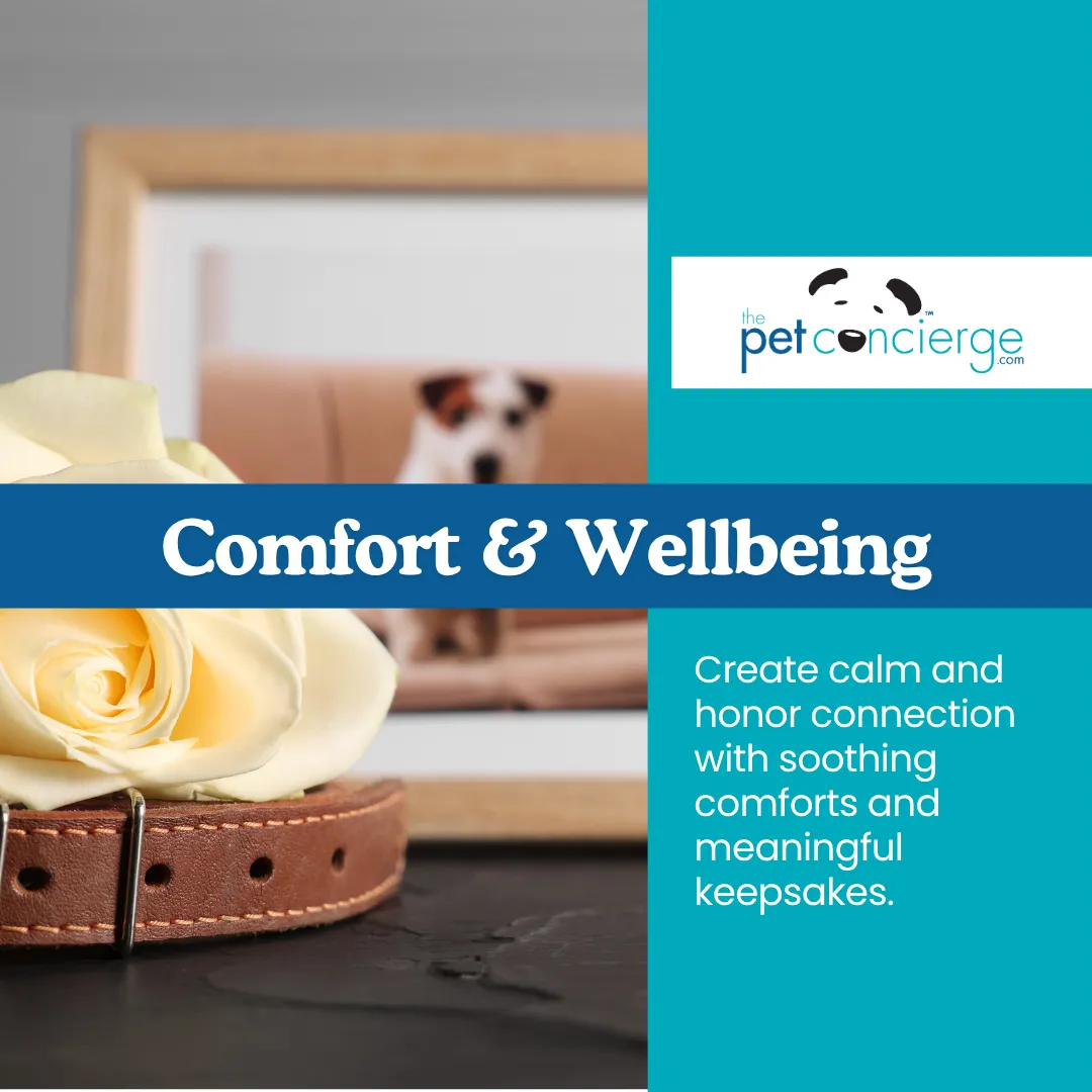 Comfort and Wellbeing