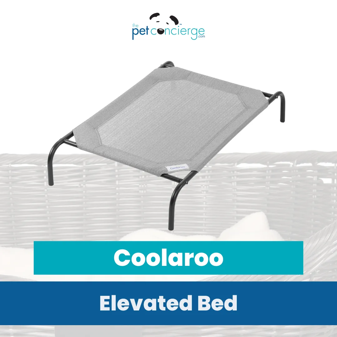 Coolaroo Original Elevated Bed