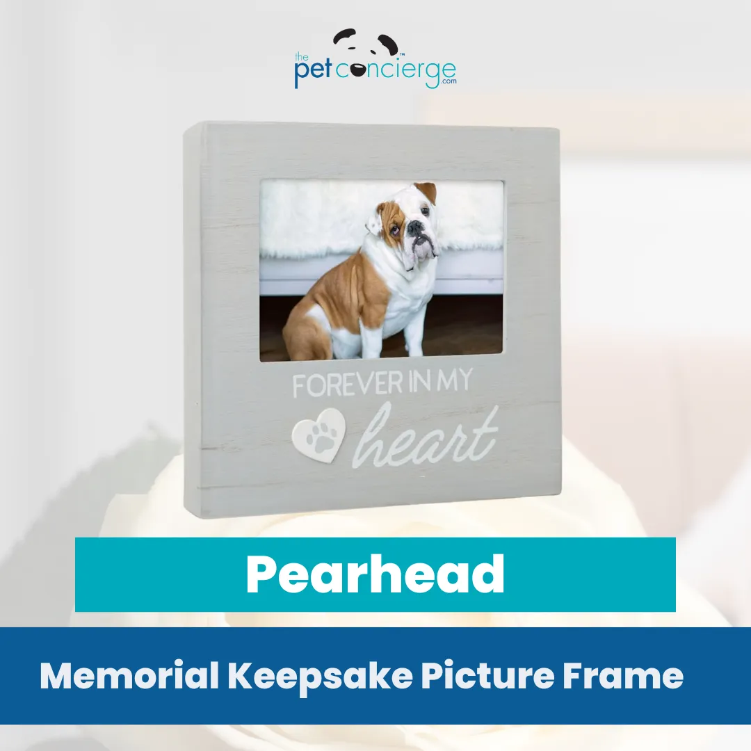 Pearhead Pet Forever In My Heart Memorial Keepsake Picture Frame
