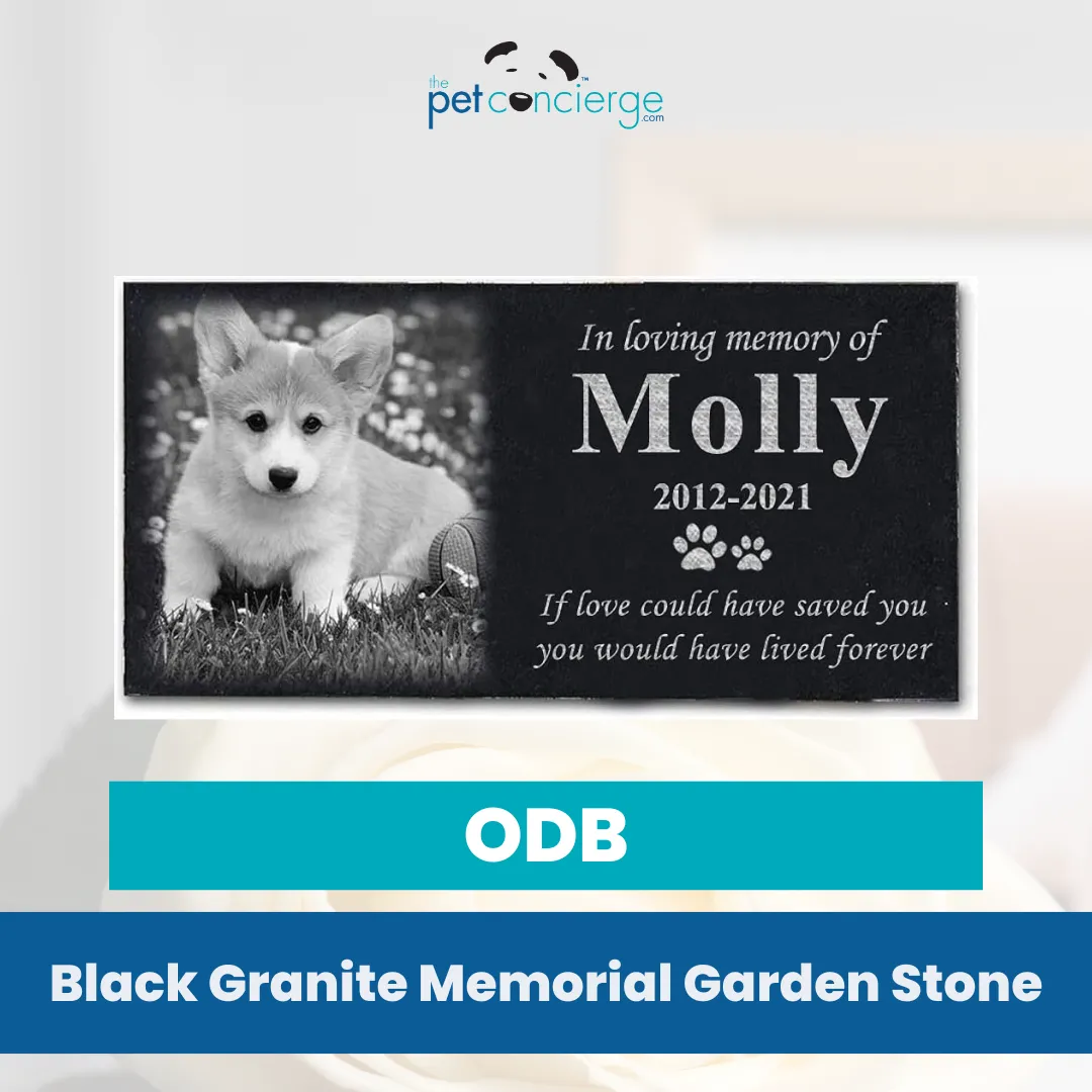 Pet Memorial Black Granite Stone