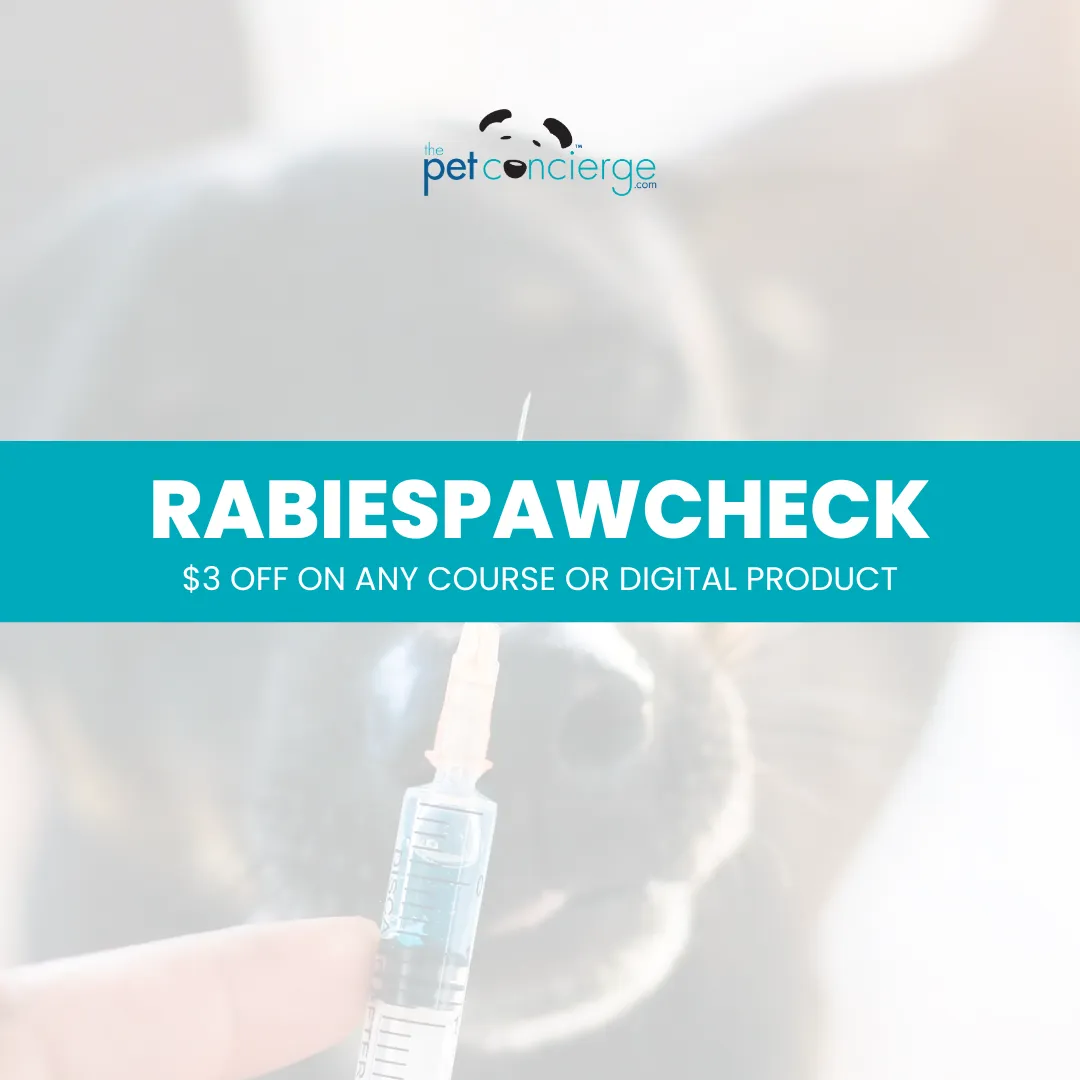 World Rabies Day